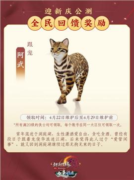天龙八部私服太极戒指